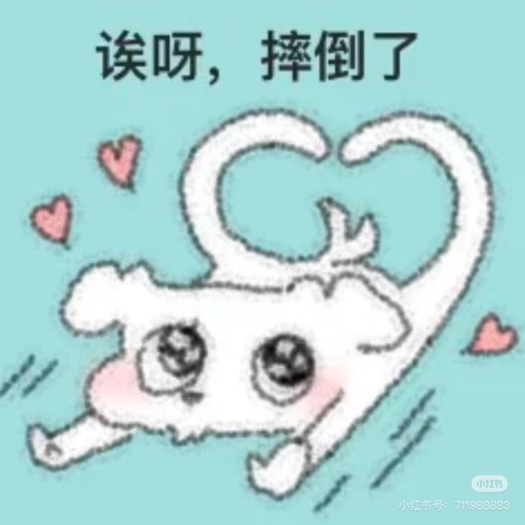 草莓格子