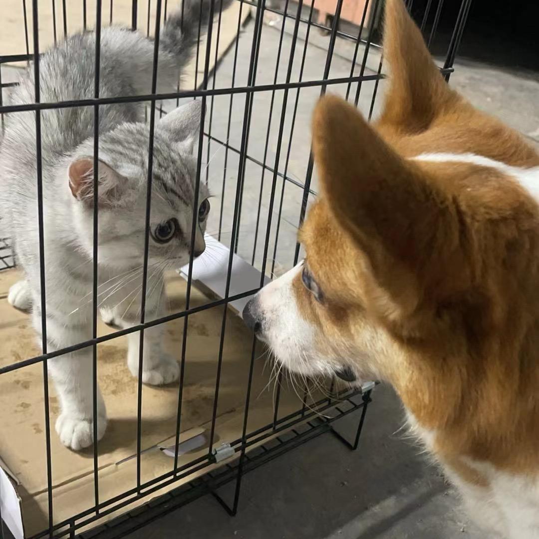 千千万万的日常