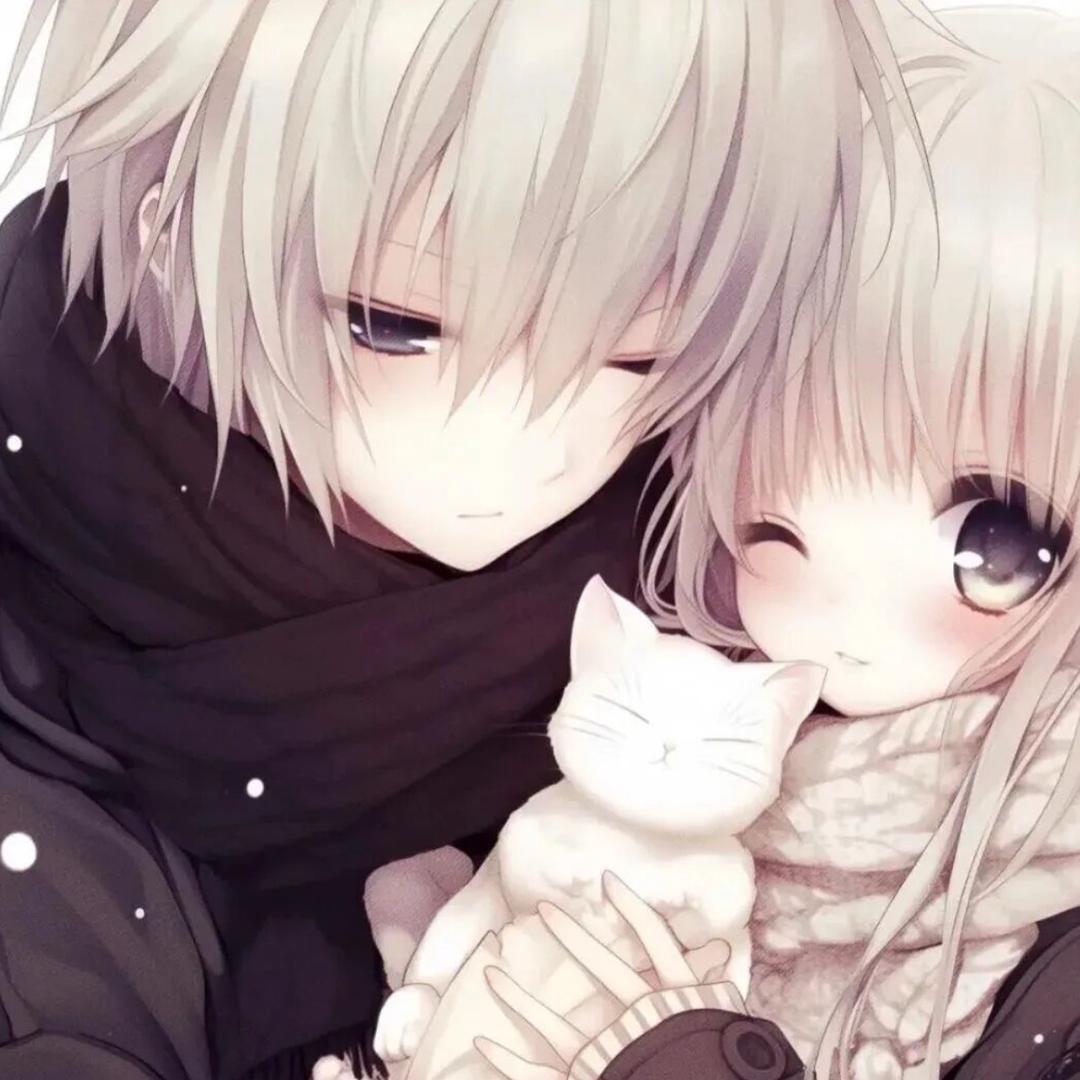 雨未眠