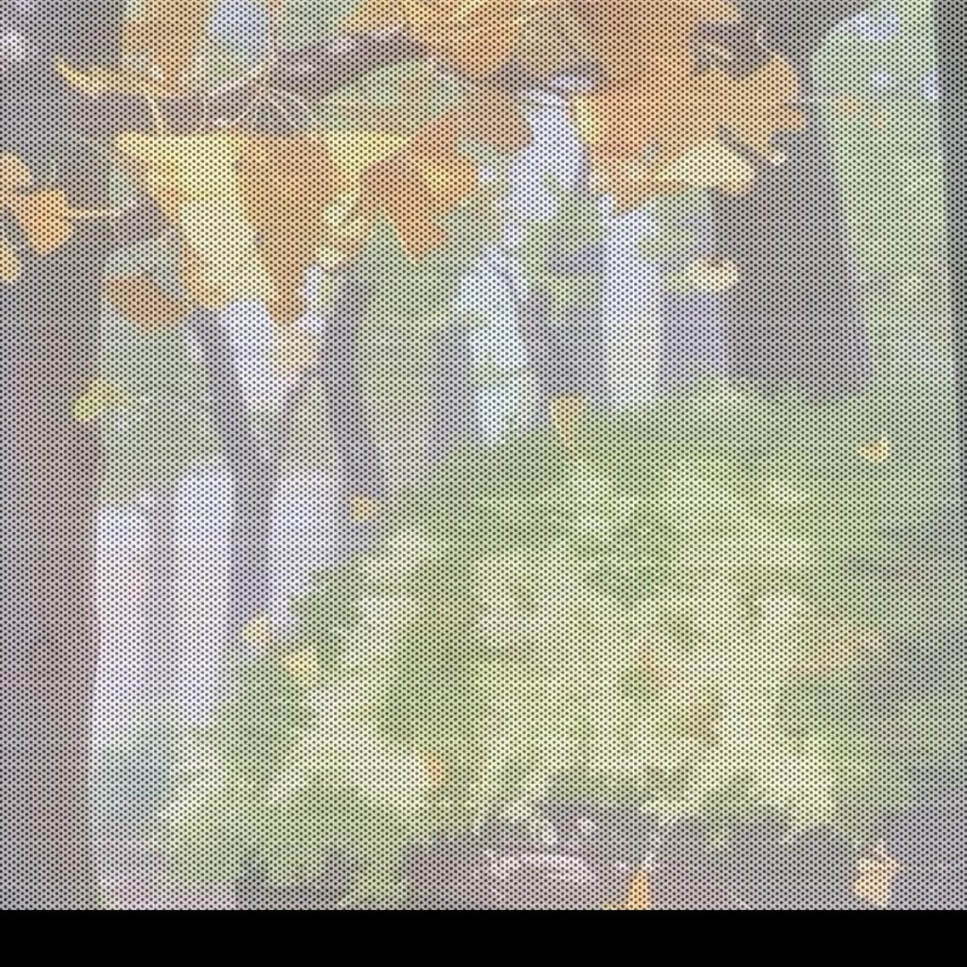用户1124768561988