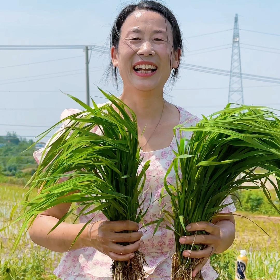 广水秀秀