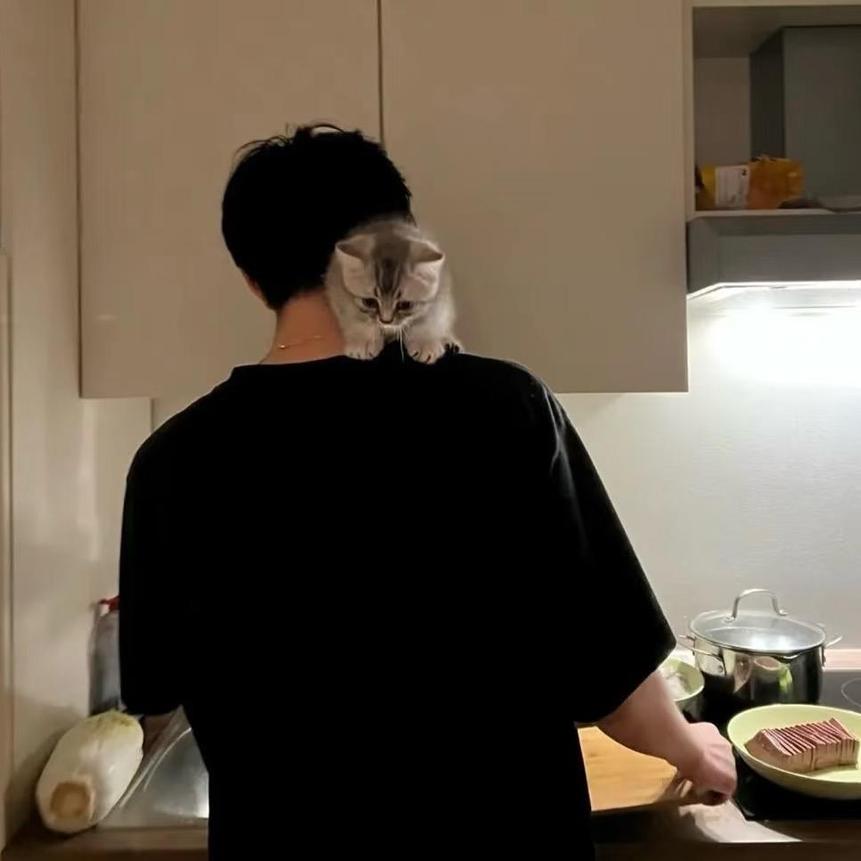xin