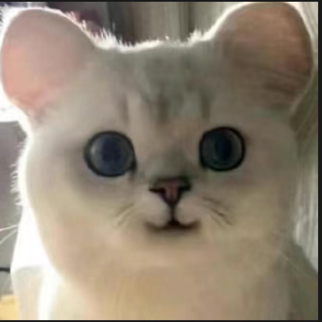 其实我们谁都不是出生