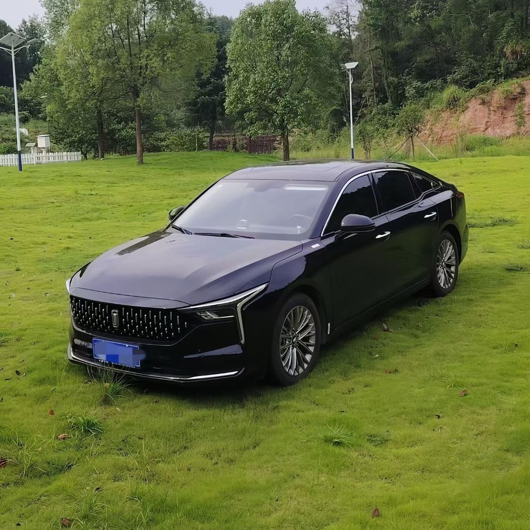 全国低首付，黑，花，鱼都可做