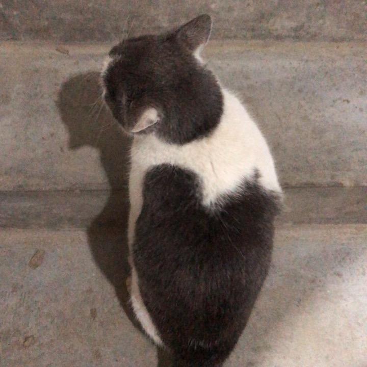 样子