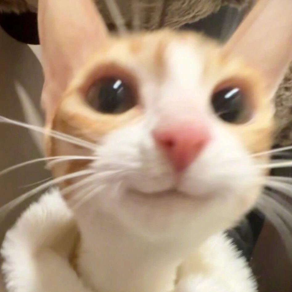 构思忳