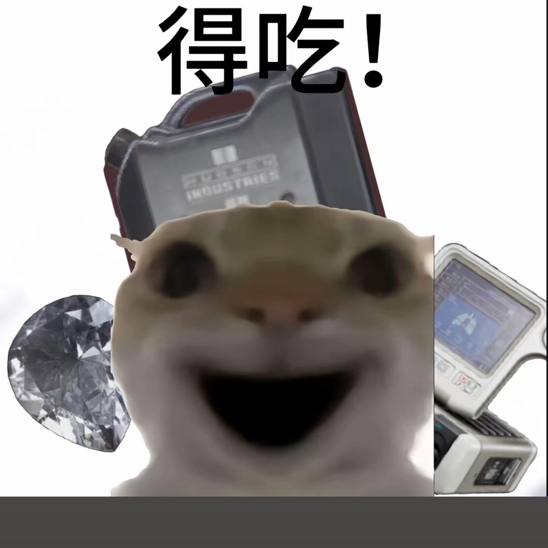 战斗小鼠🐀