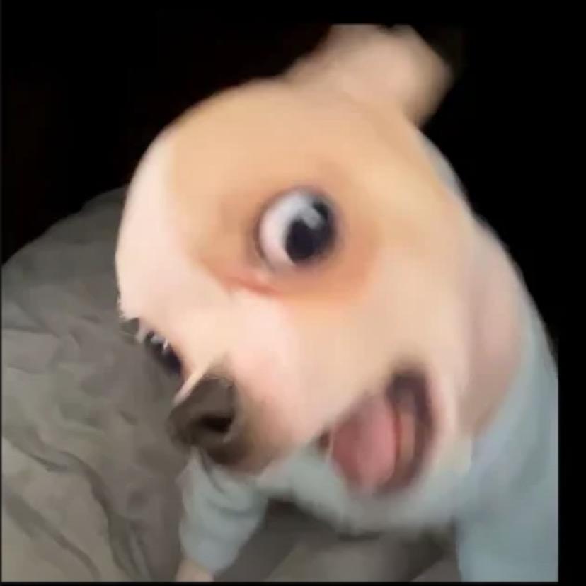 1 1