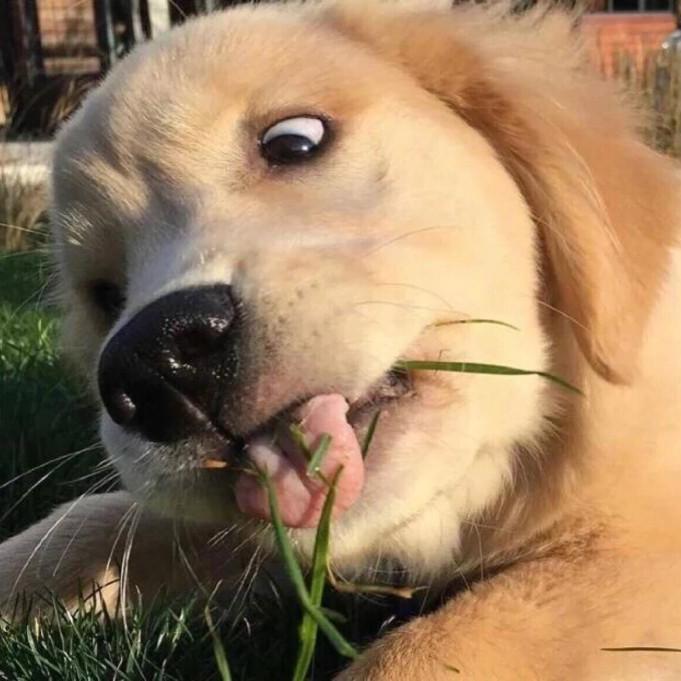 啊吧啊啊啊巴啊