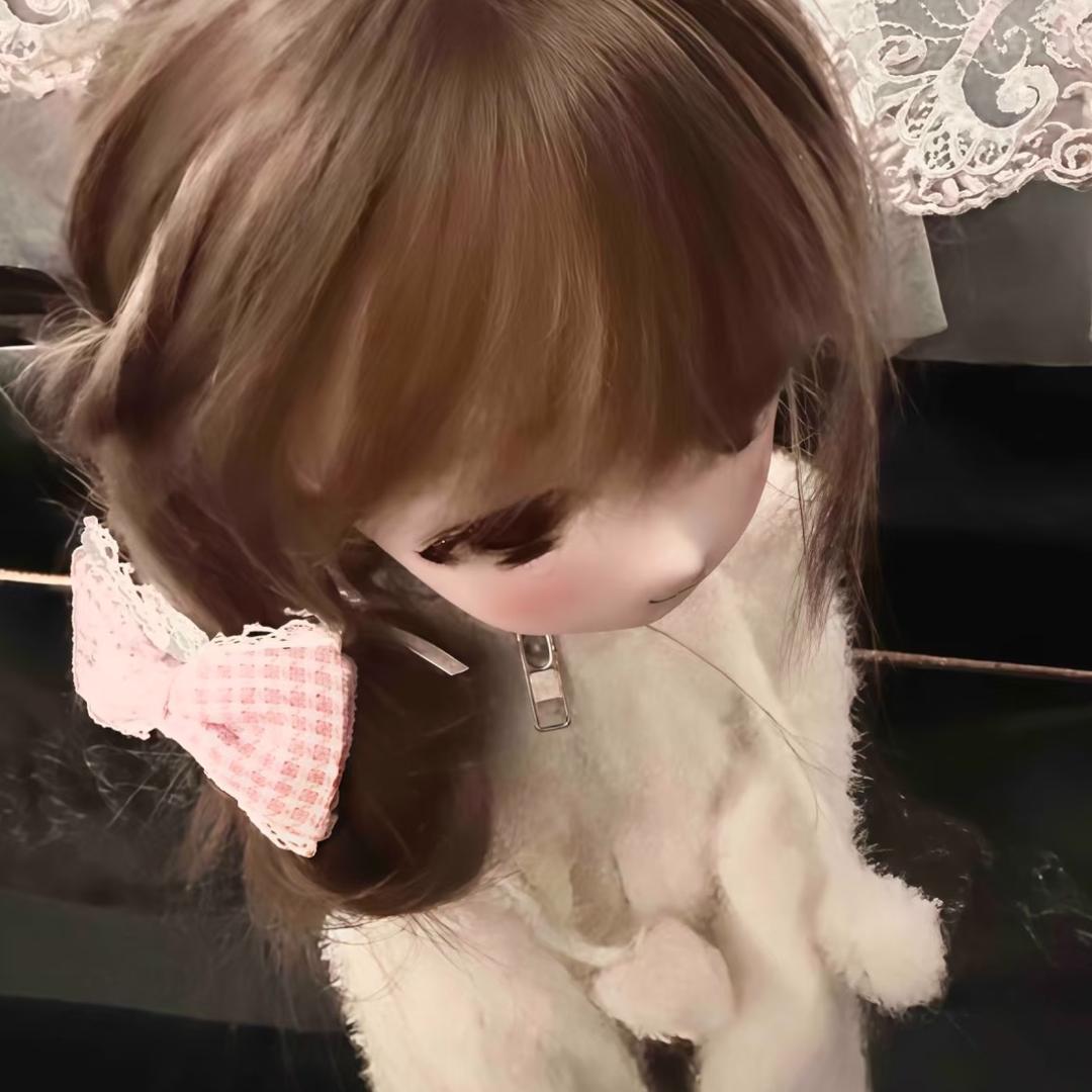 流浪猫