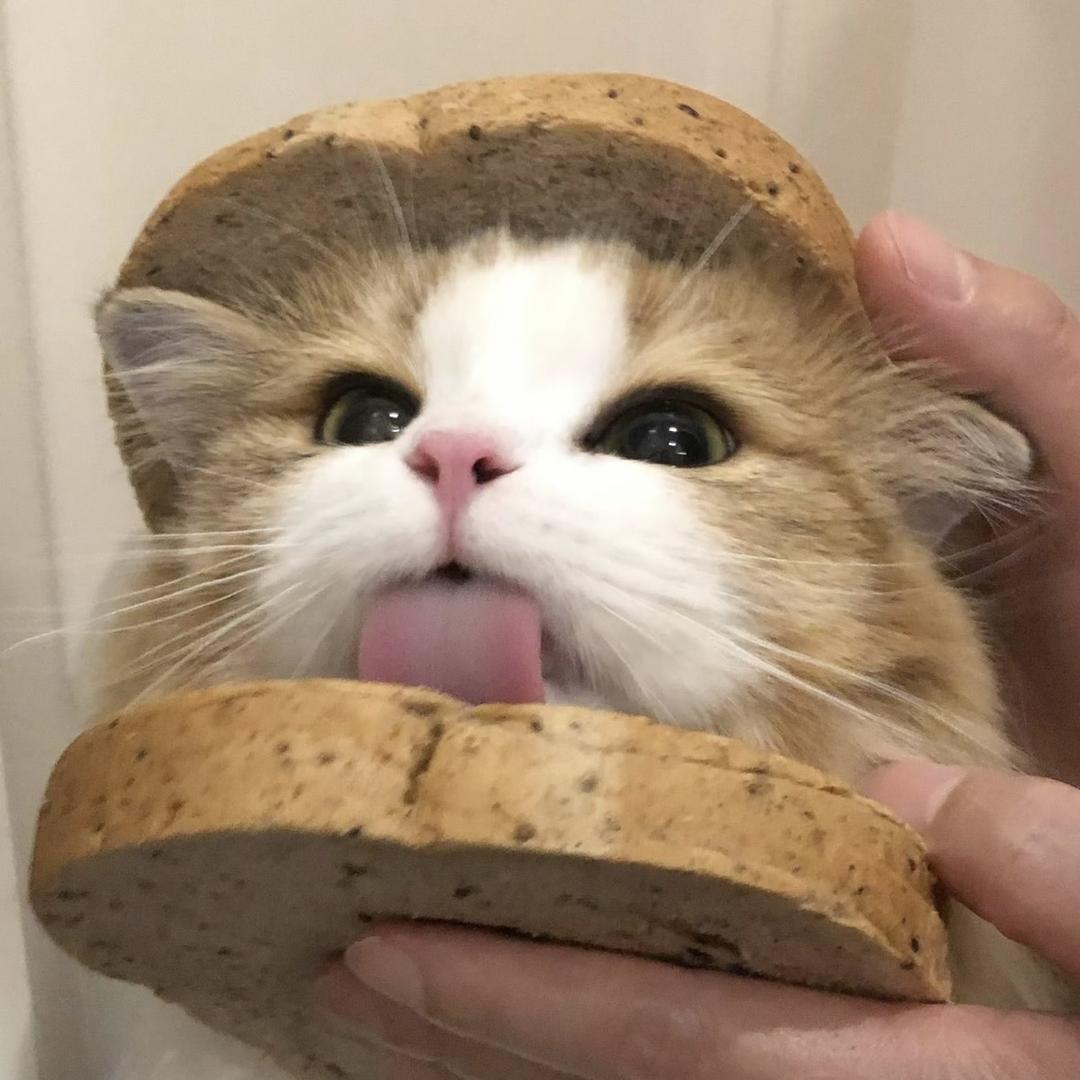 小满酱