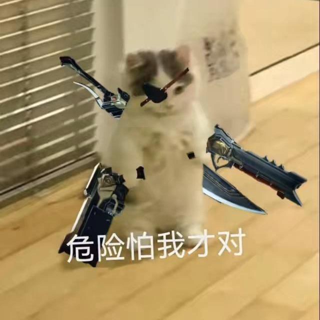 𝓢𝓪𝓶𝓲𝓻𝓪