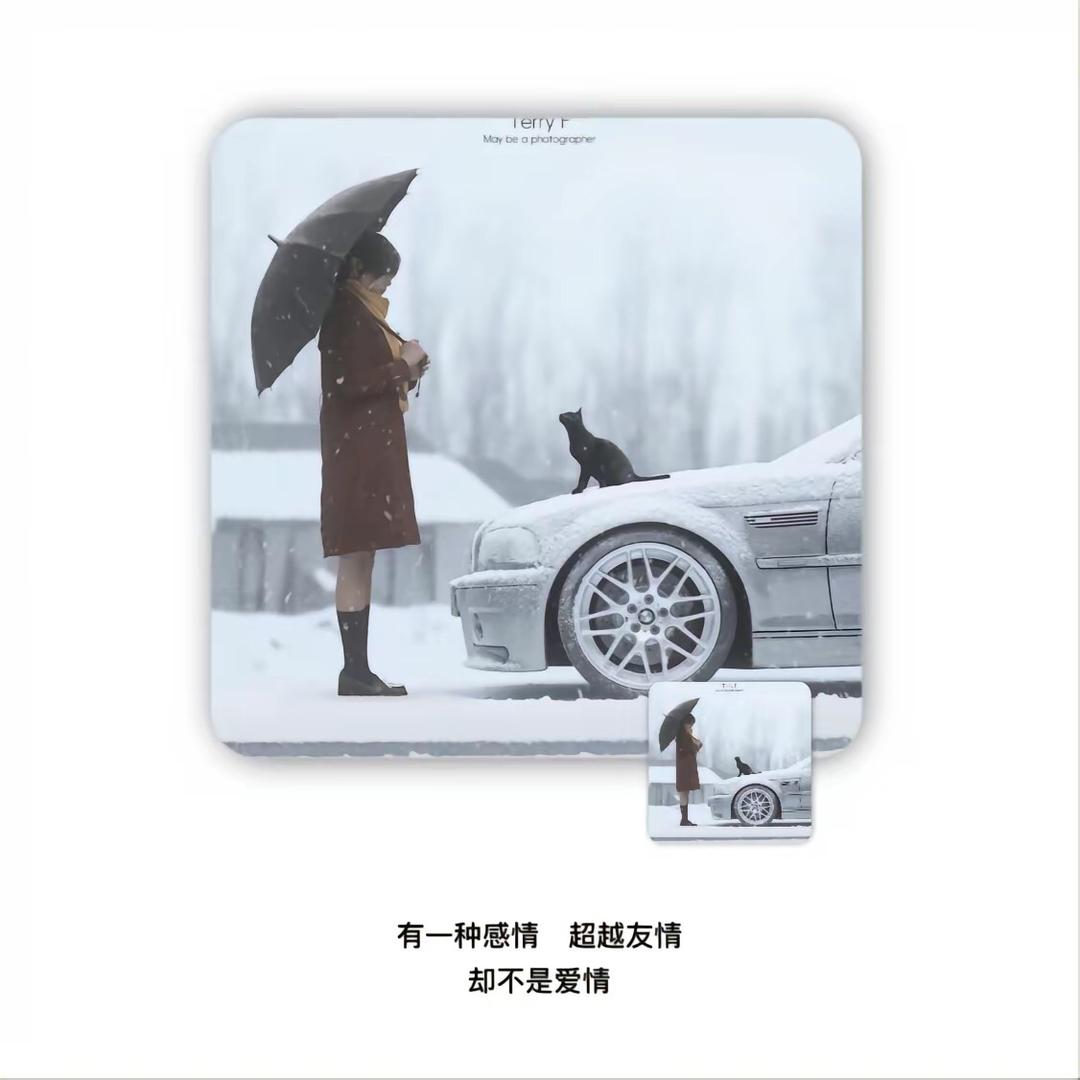 小绵羊🐏