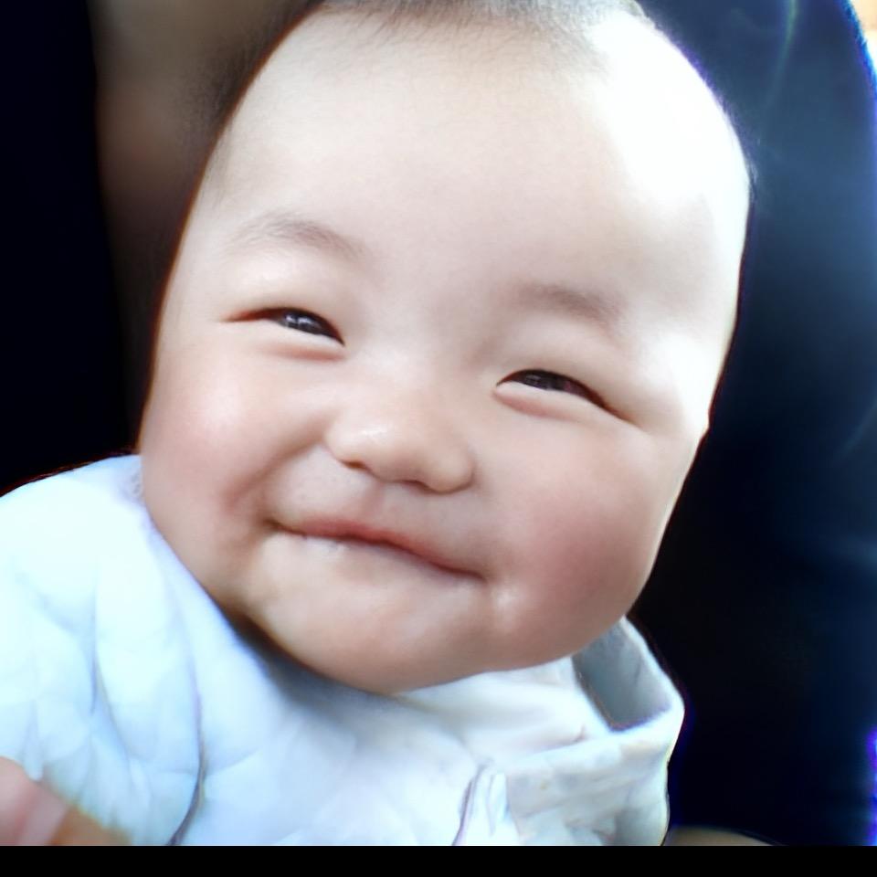 FR蕊