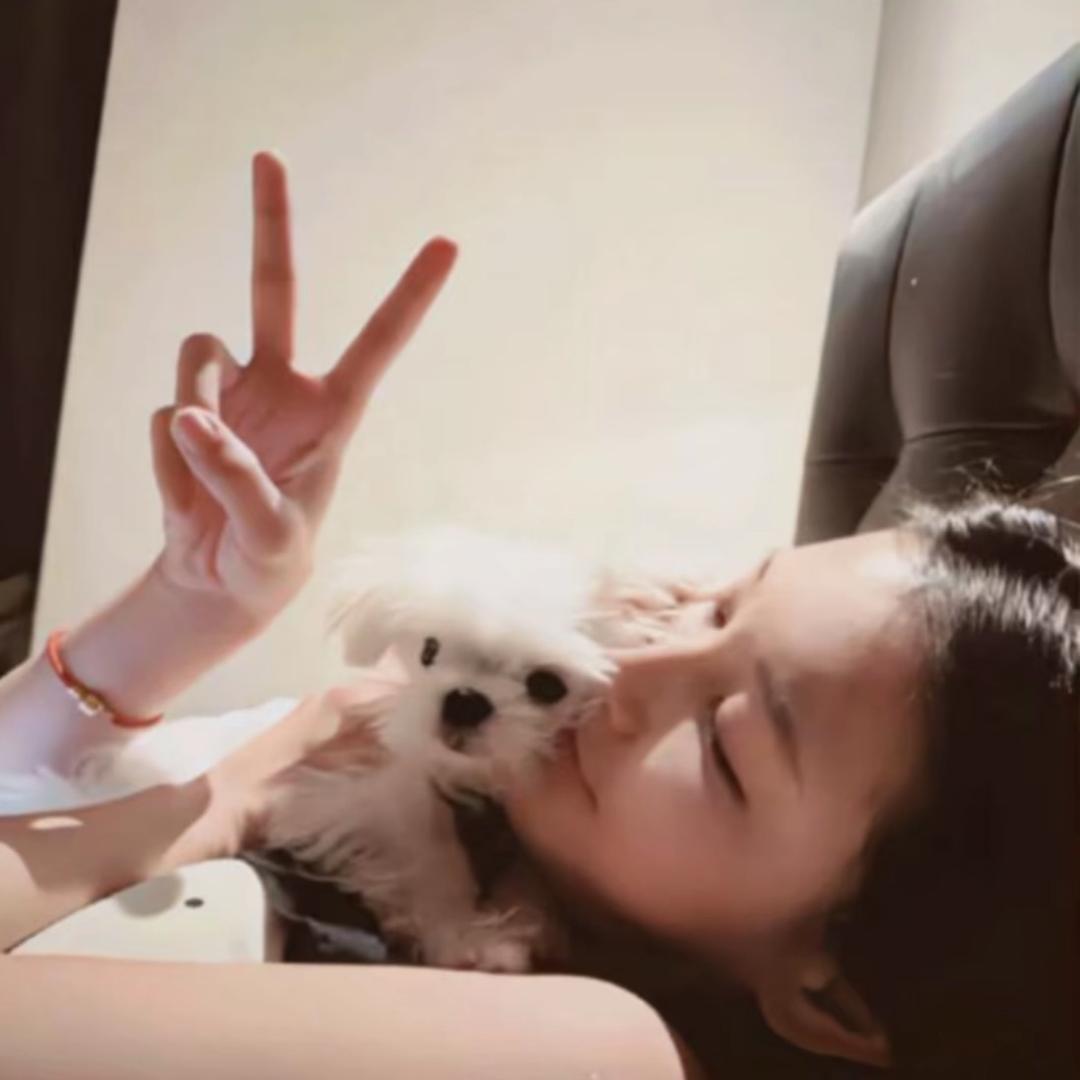 小🐑