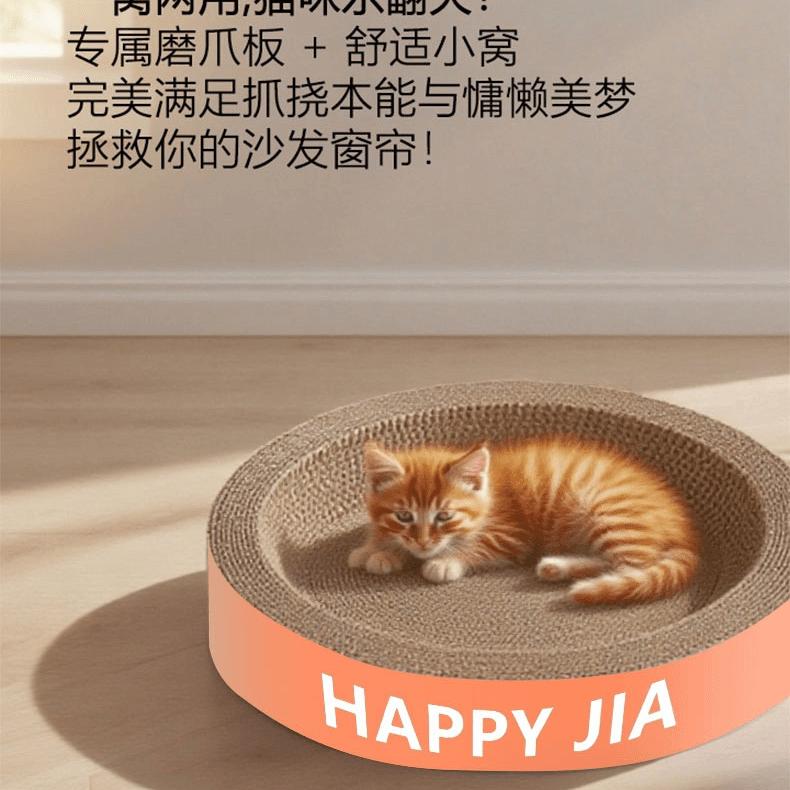 董老板的猫猫小店