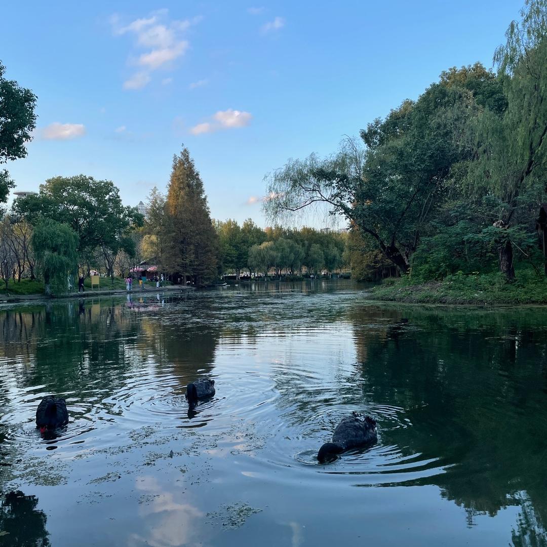 小白好物分享588