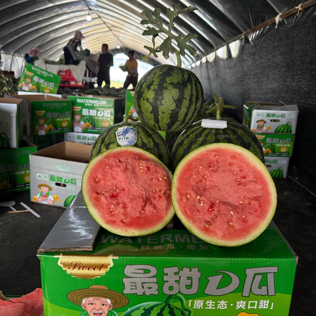 肖水果