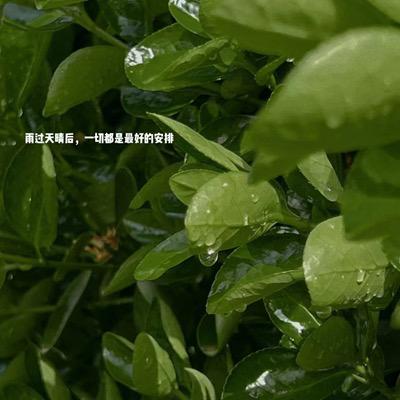 慢