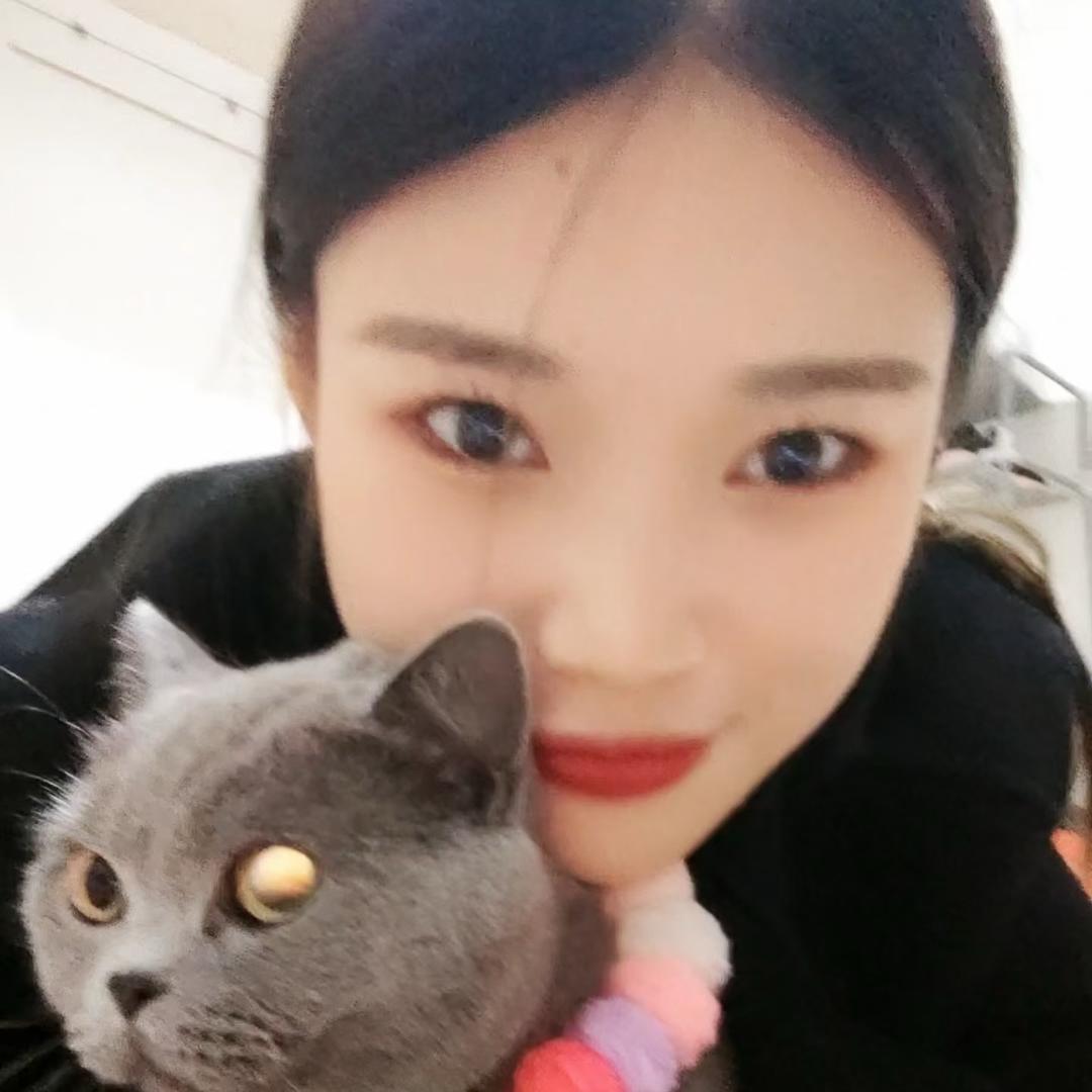 汤圆什么馅