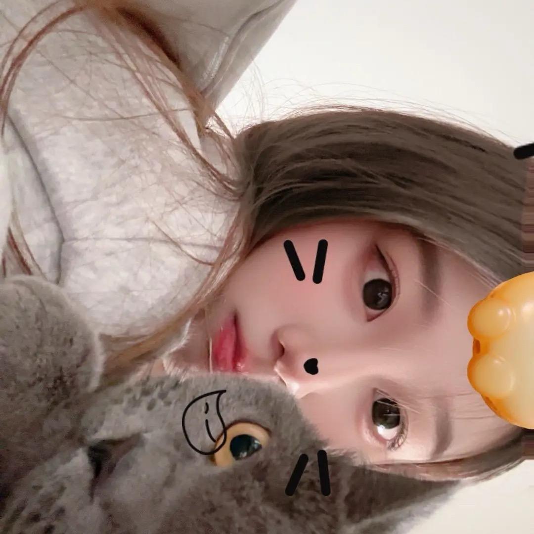 Best🐰