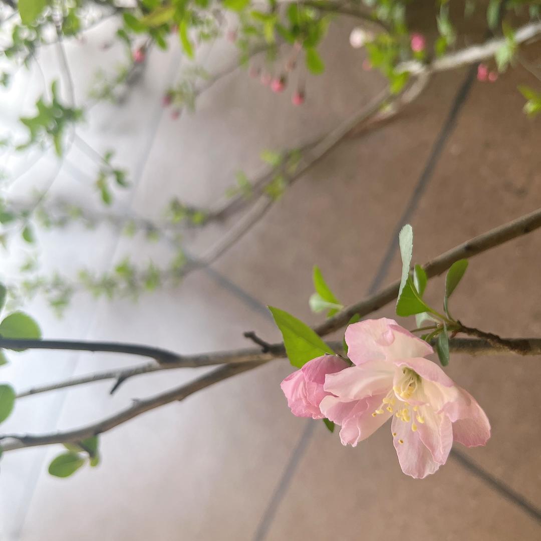 🌈🌈🌞🌞🌈🌈