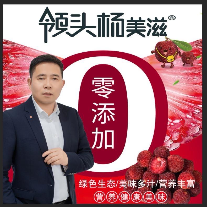 贵州“领头杨美滋”杨梅汁源头工厂