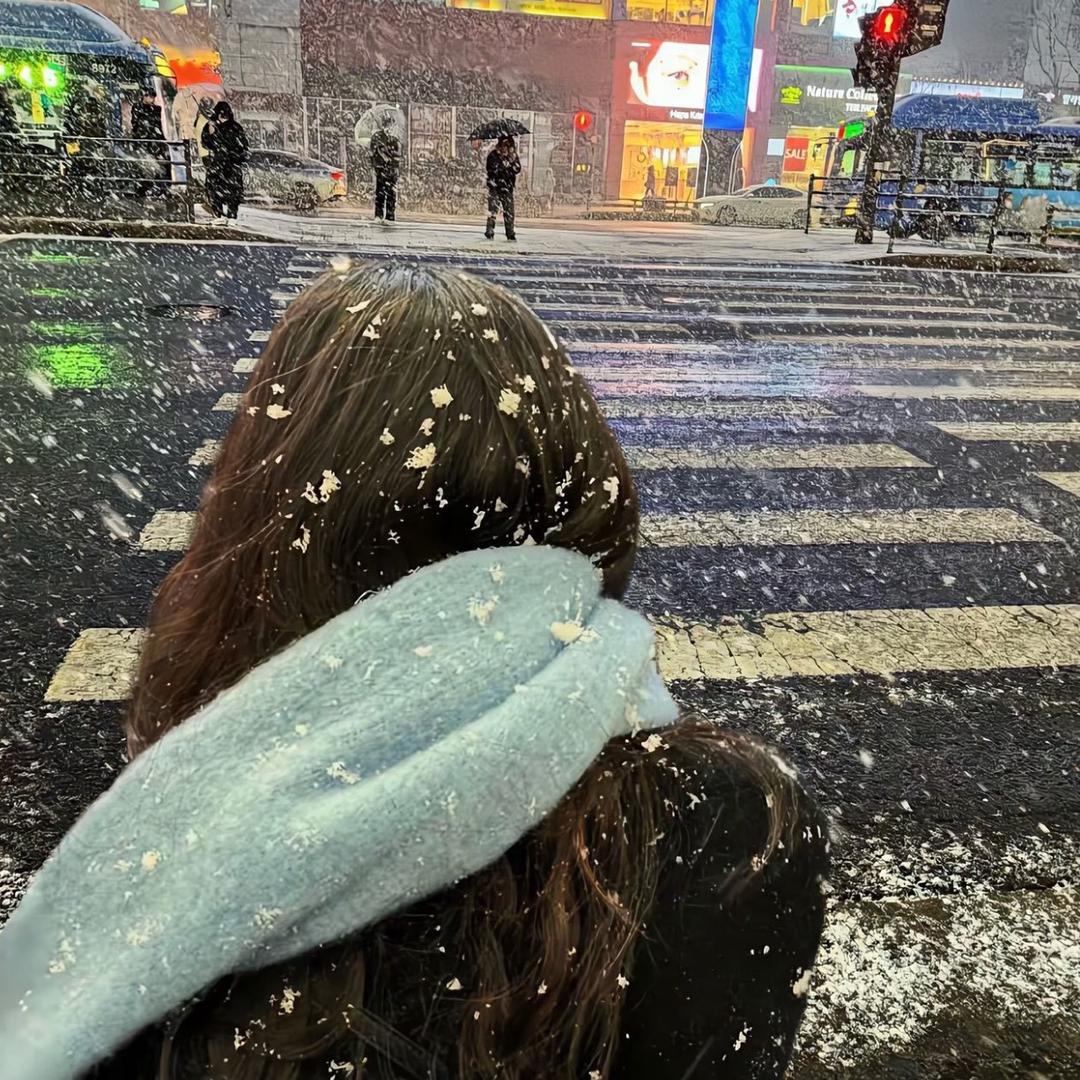 十二雪
