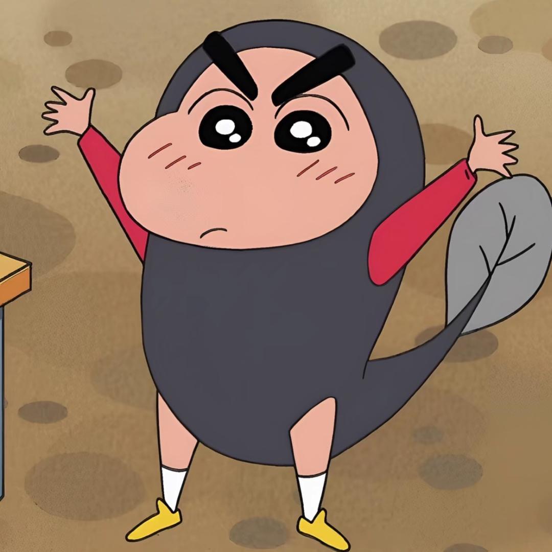 帕nini
