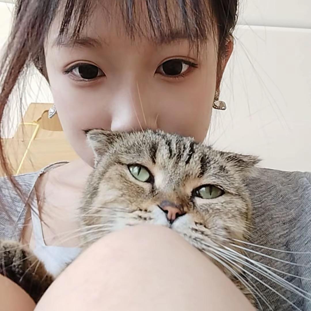 蛋挞没有挞