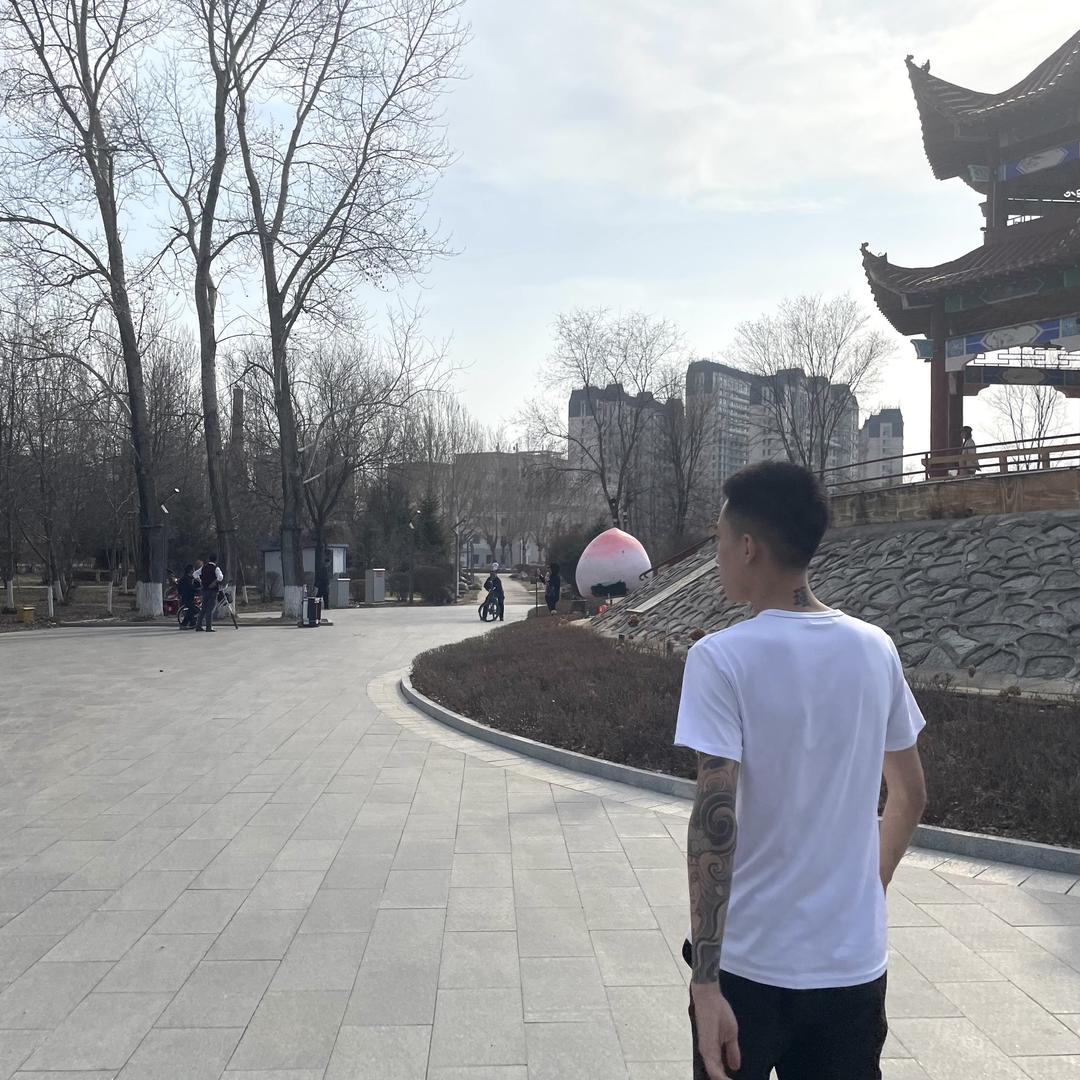 十 一