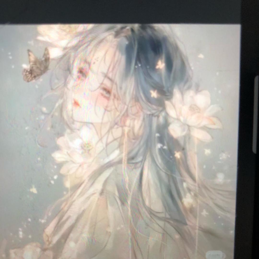 夏枝许