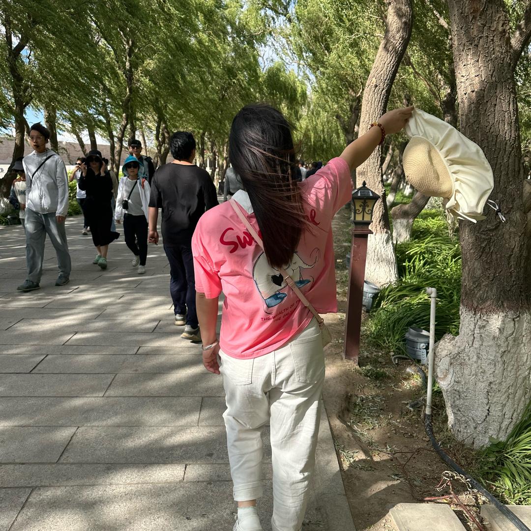 半糖主义
