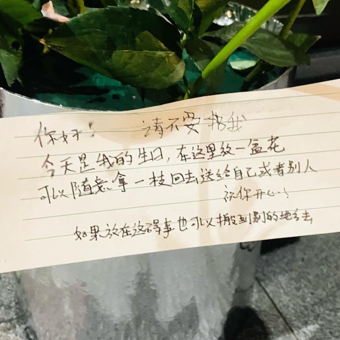 曼