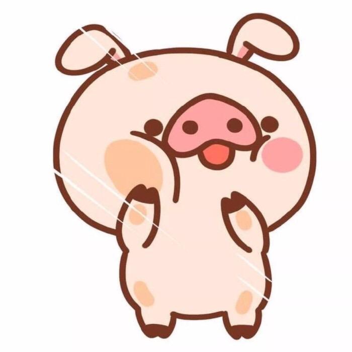 小肥肥追剧