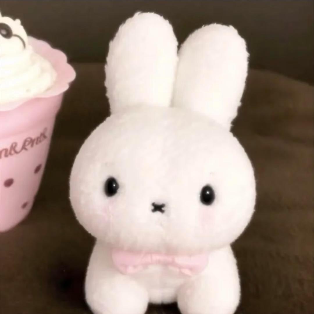 ₌᳐･֊･₌᳐੭