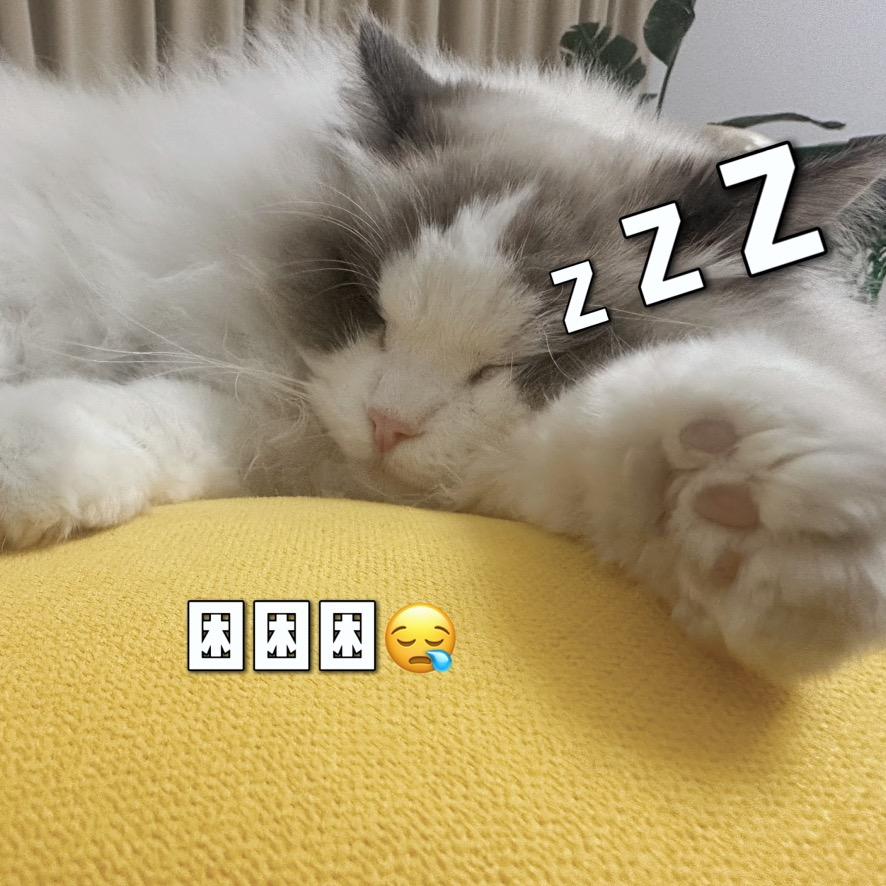 一颗小果汁🧃