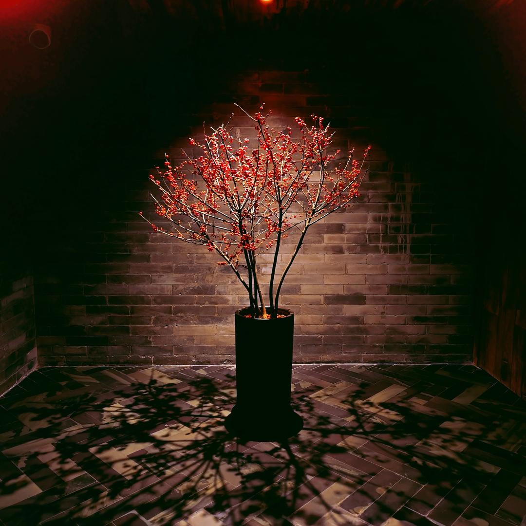 无尘问道