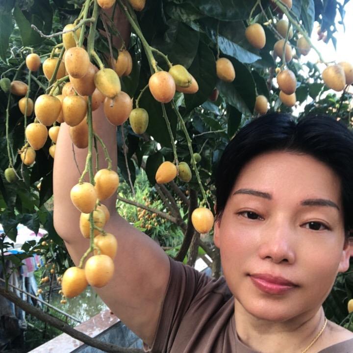 天马，拒绝私聊