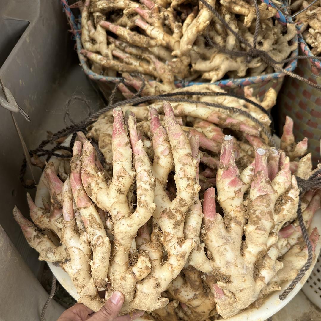汇豪农产品