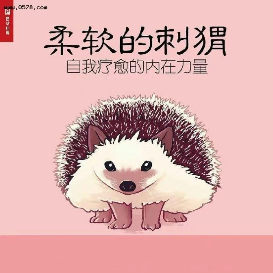 田间的小刺猬。