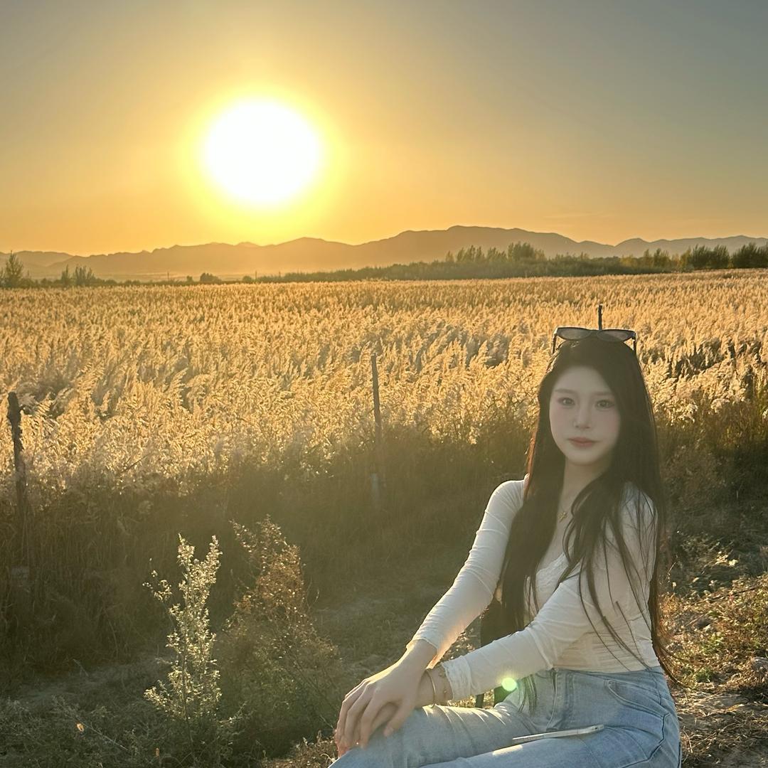 美诗_