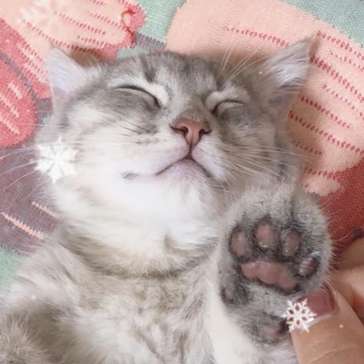还没想好再等等