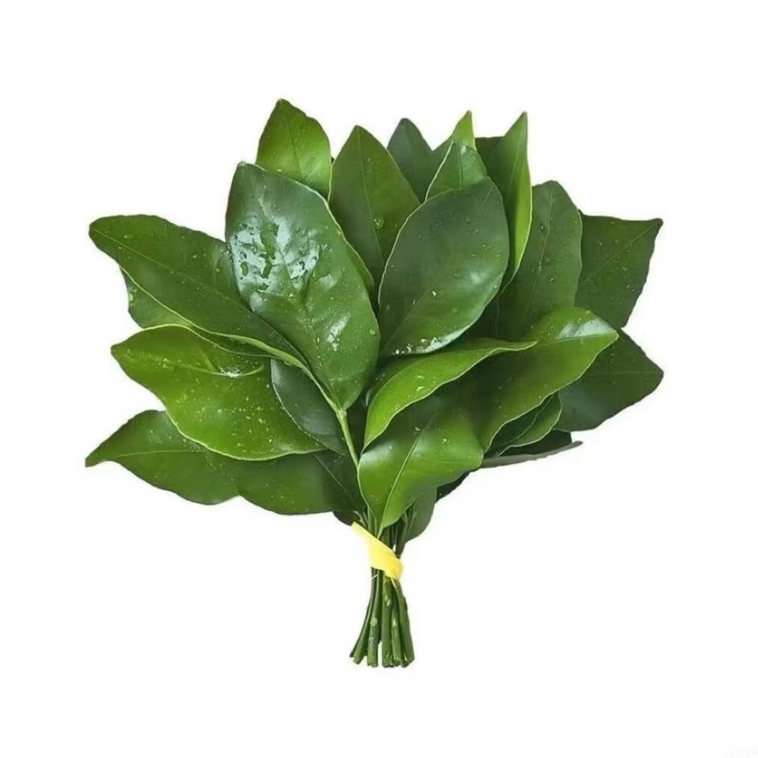 Rn