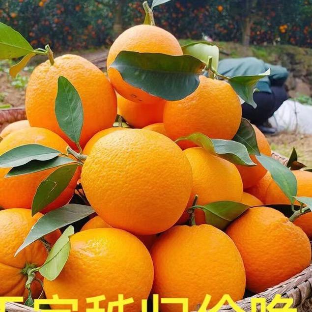 戎马
