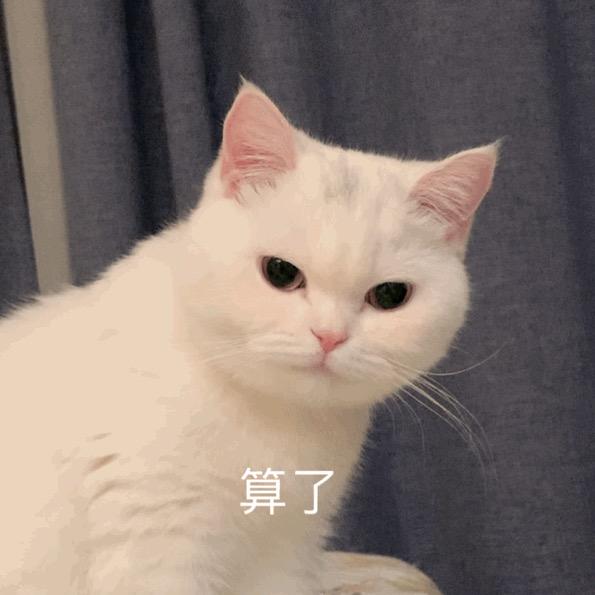 人影散了