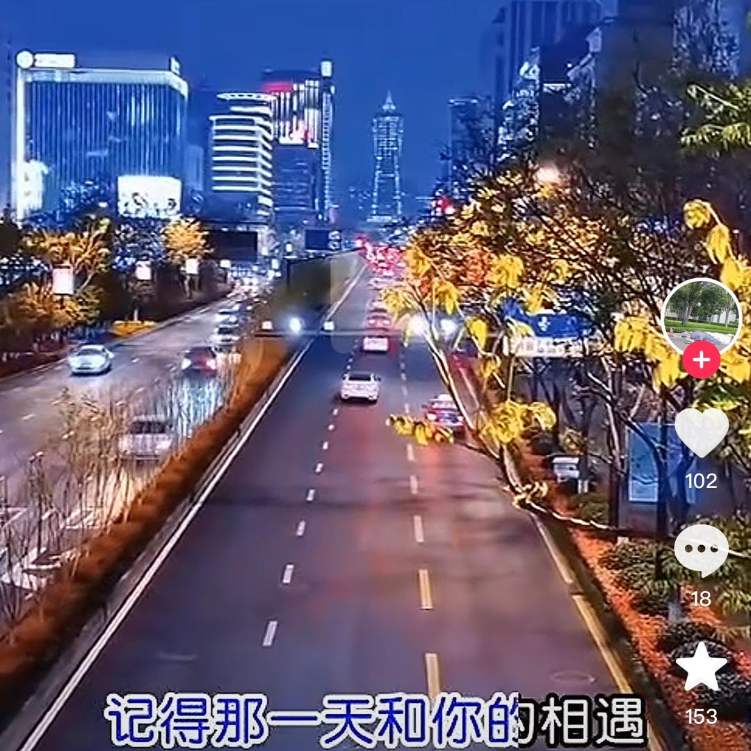 铁虎