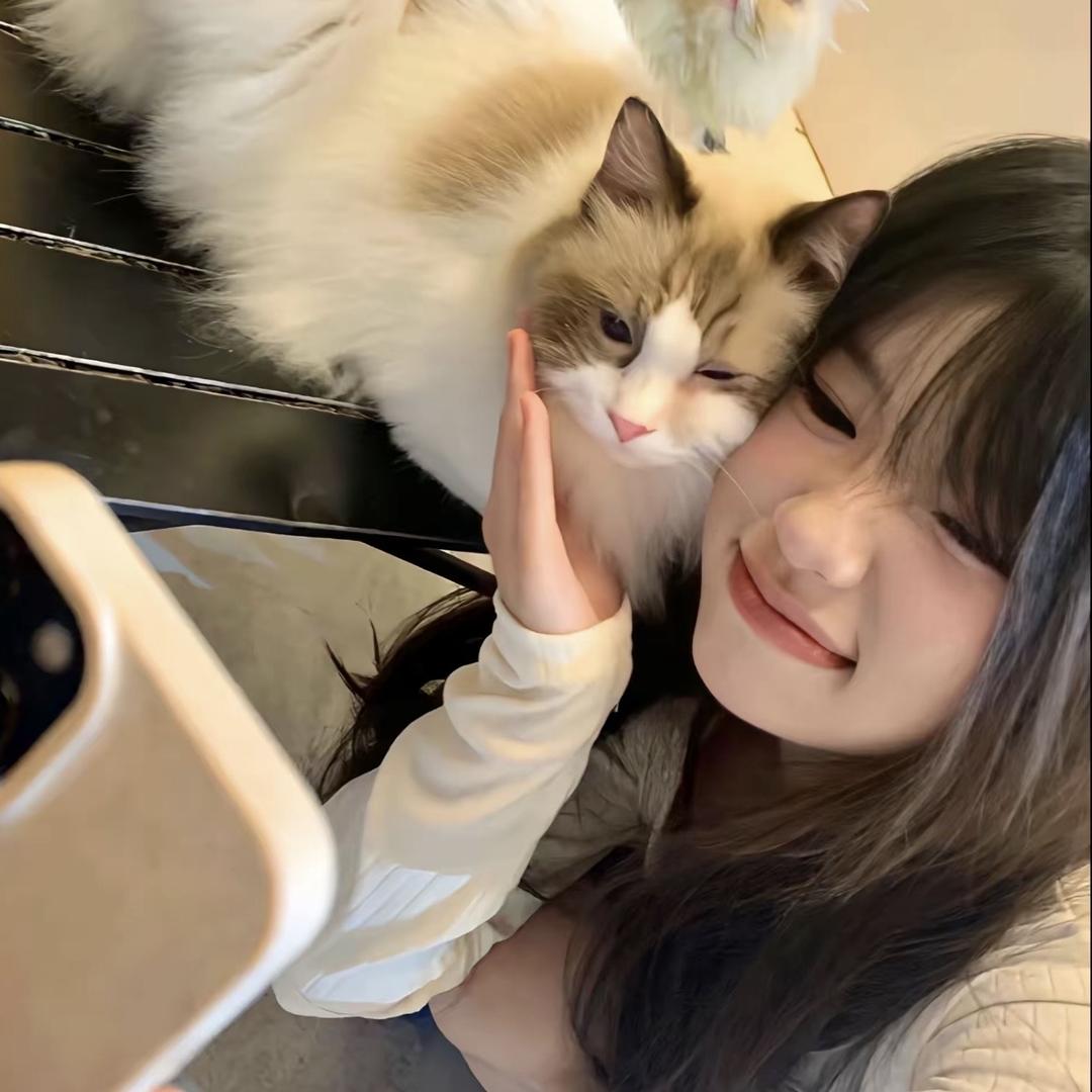止于心