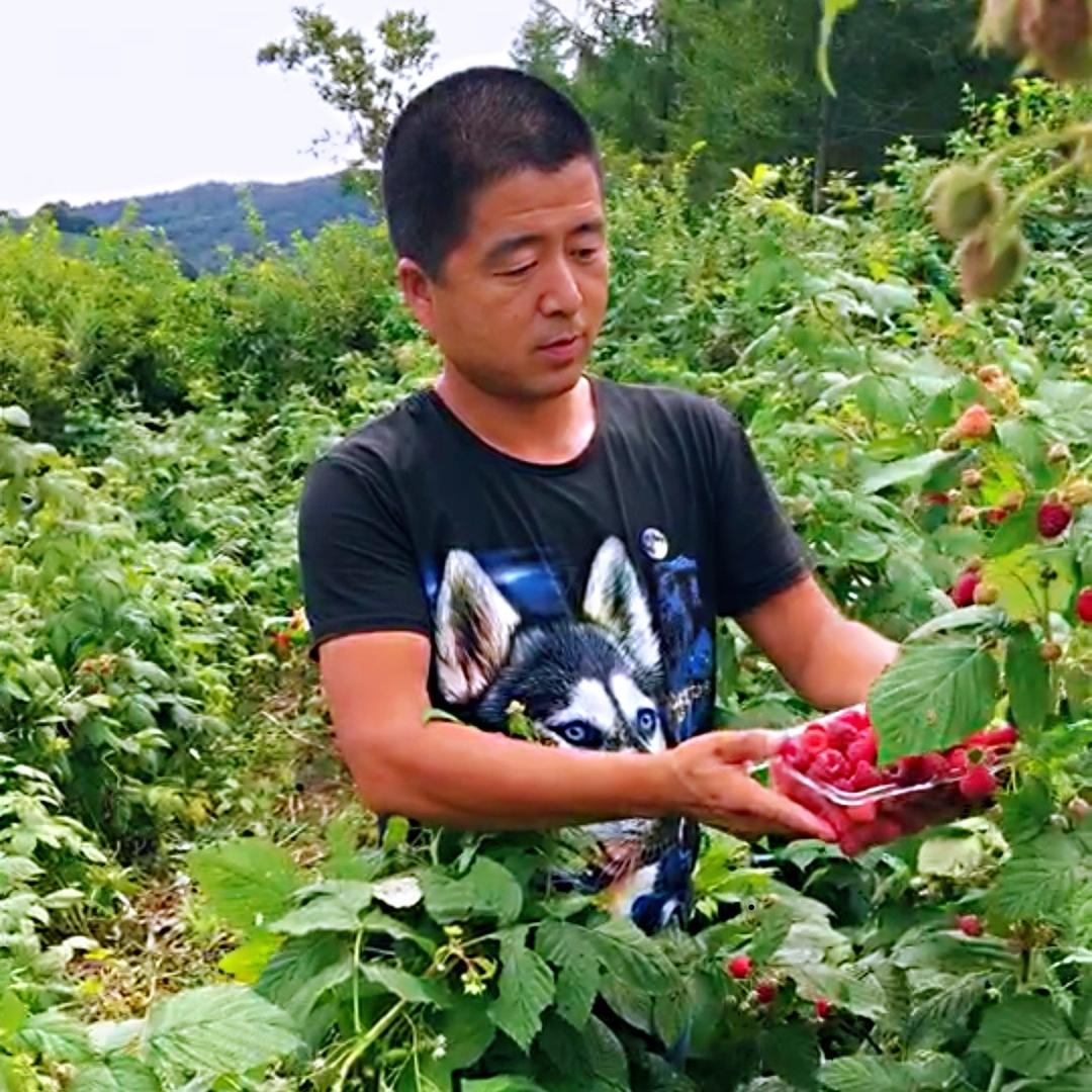 元哥果树苗木专营店