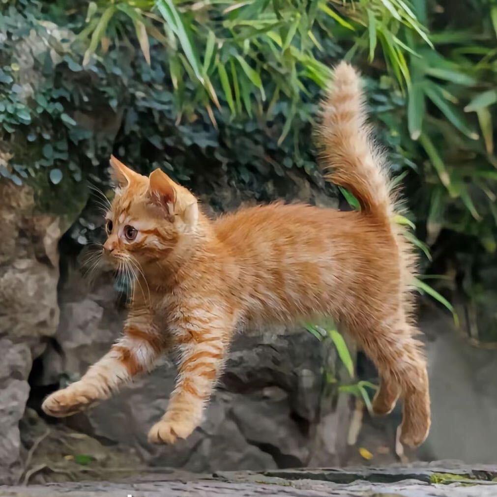 @于洋（进化版）